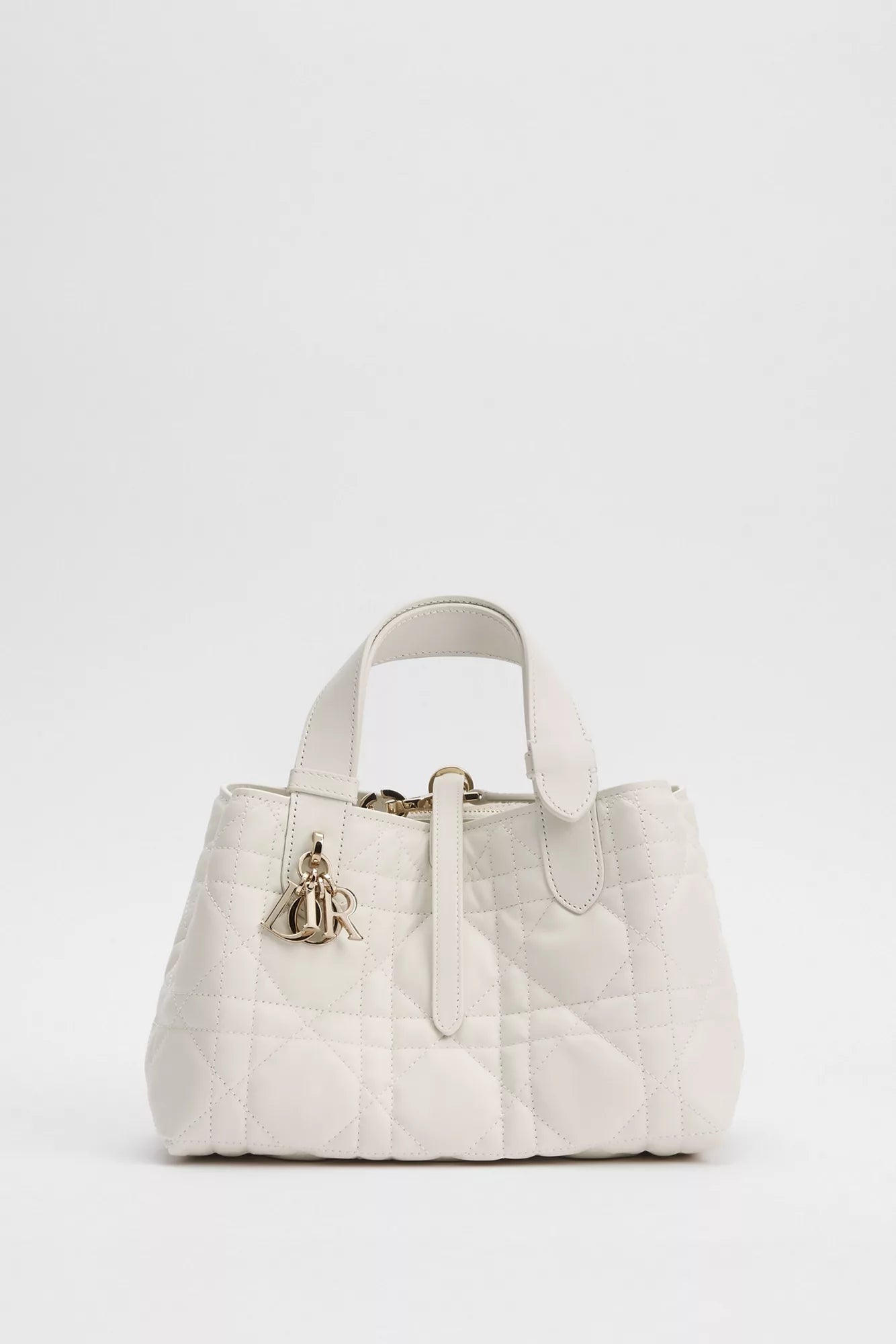 Dior Toujours  Bag