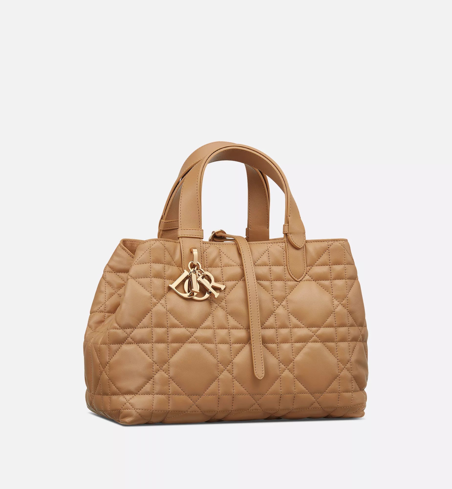 Dior Toujours  Bag