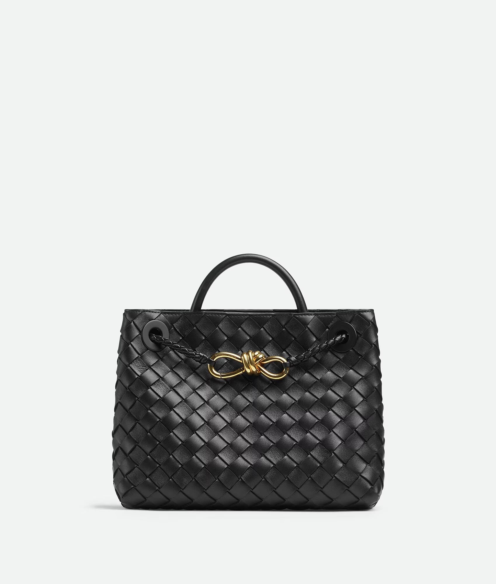 Bottega Veneta Andiamo Bag